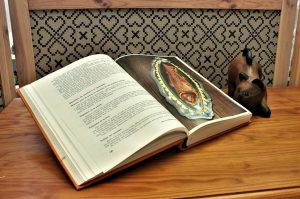 LONGUEVILLE D - s livre imp